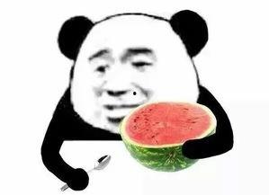 终生皆苦娱乐吃瓜酱