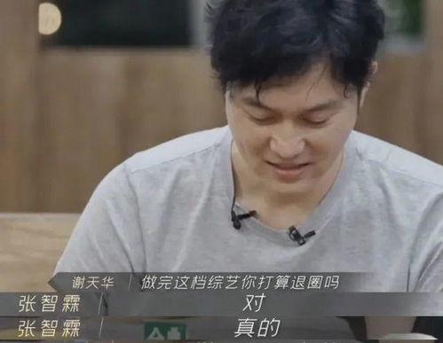 娱乐吃瓜酱张智霖,娱乐吃瓜酱，揭秘娱乐圈那些事儿