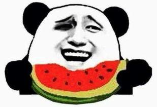 吃瓜群众视频,视频背后的热点追踪与娱乐狂欢